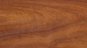 cumarú
