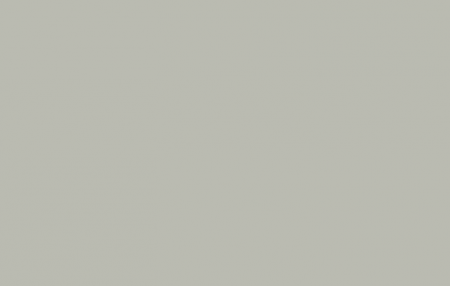 L021 TF Gris Perla