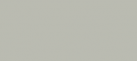 L166 Gris Claro TF